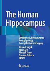 Human hippocampus development for sale  Delivered anywhere in UK