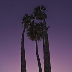 Purple sky gebraucht kaufen  Wird an jeden Ort in Deutschland