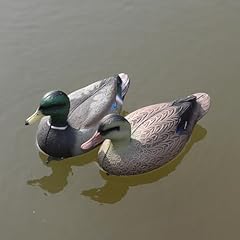 Cifavor mallard duck for sale  Delivered anywhere in USA 