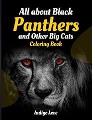Black panthers big for sale  Delivered anywhere in USA 