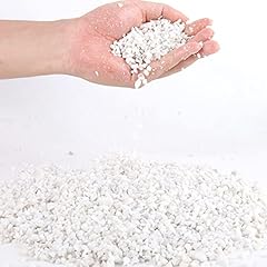 3lb white cactus for sale  Delivered anywhere in USA 