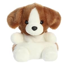 Aurora adorable palm for sale  Delivered anywhere in USA 