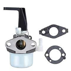 Hipa 696065 carburetor for sale  Delivered anywhere in USA 