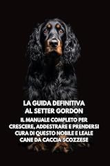Guida definitiva setter usato  Spedito ovunque in Italia 