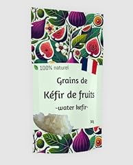 Kéfir fruits naturel d'occasion  Livré partout en France