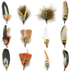 12pcs hat feathers for sale  Delivered anywhere in UK