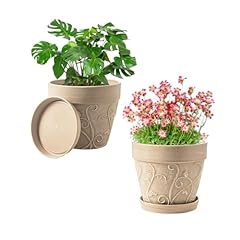 Plant pots indoor for sale  Delivered anywhere in USA 