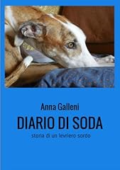 Diario soda storia usato  Spedito ovunque in Italia 