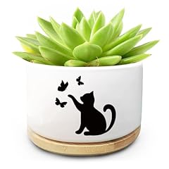 Funny cute cat for sale  Delivered anywhere in USA 