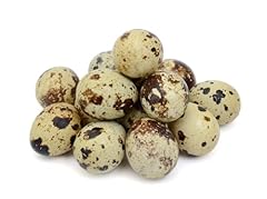 Jumbo coturnix quail for sale  Delivered anywhere in USA 