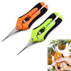 2pcs forbici giardinaggio usato  Spedito ovunque in Italia 