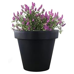 Geezy anthracite flower for sale  Delivered anywhere in UK