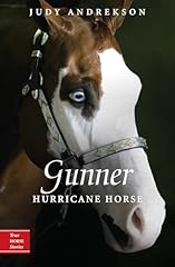 Gunner hurricane horse for sale  Delivered anywhere in USA 