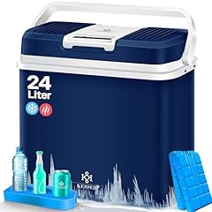 Kesser frigobox litri usato  Spedito ovunque in Italia 
