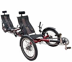Electric trike two for sale  Delivered anywhere in USA 