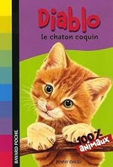 Diablo chaton coquin d'occasion  Livré partout en France