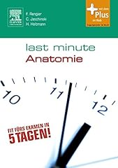 Last minute anatomie gebraucht kaufen  Wird an jeden Ort in Deutschland