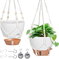 Inch hanging planters for sale  Delivered anywhere in USA 