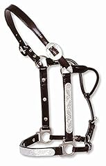 Show halter engraved for sale  Delivered anywhere in USA 