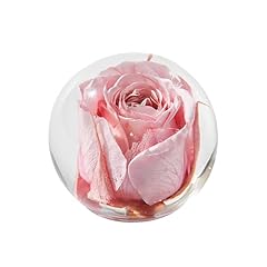 1st heaven rose for sale  Delivered anywhere in USA 
