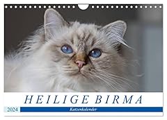 Heilige birma katzenkalender gebraucht kaufen  Wird an jeden Ort in Deutschland