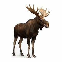 Moose 5ft life for sale  Delivered anywhere in USA 