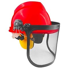 Zeripikfoasp casco forestale usato  Spedito ovunque in Italia 