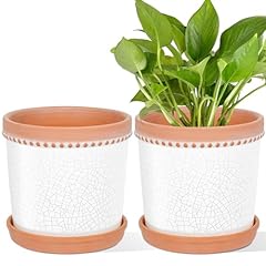 Coloapt ceramic plant for sale  Delivered anywhere in USA 