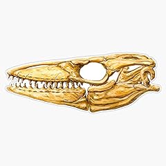 Mosasaur skull sticker for sale  Delivered anywhere in USA 