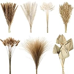 100 pcs dried for sale  Delivered anywhere in USA 