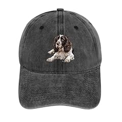 English springer spaniel for sale  Delivered anywhere in UK