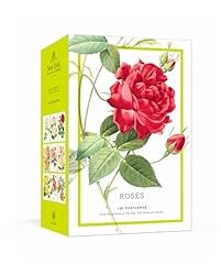 Roses 100 postcards for sale  Delivered anywhere in USA 