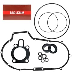Biglknm primary gasket for sale  Delivered anywhere in USA 