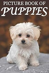 Picture book puppies for sale  Delivered anywhere in USA 