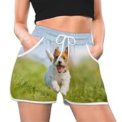 Happy corgi dog gebraucht kaufen  Wird an jeden Ort in Deutschland