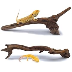 Bnosdm 2pcs snake for sale  Delivered anywhere in USA 