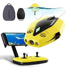 Chasing dory underwater for sale  Delivered anywhere in USA 