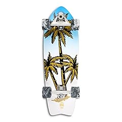Surfskate skateboard carver usato  Spedito ovunque in Italia 