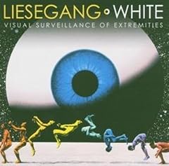 Visual surveillance f gebraucht kaufen  Wird an jeden Ort in Deutschland