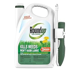 Roundup lawns ready for sale  Delivered anywhere in USA 