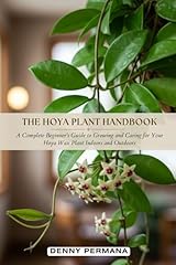 The hoya plant d'occasion  Livré partout en France