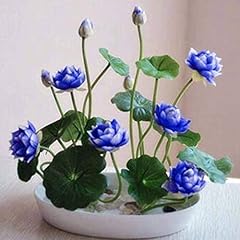 Bowl lotus flower for sale  Delivered anywhere in UK