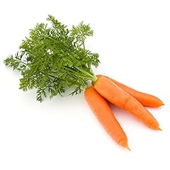 Vegetable plants carrot for sale  Delivered anywhere in UK