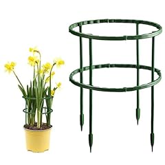 Generic plant support for sale  Delivered anywhere in USA 