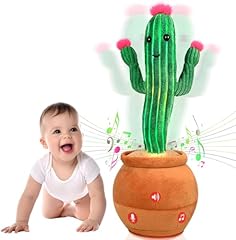 Hagiyemi cactus baby for sale  Delivered anywhere in USA 