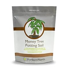 Perfect plants money for sale  Delivered anywhere in USA 