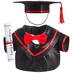 Set graduation teddy for sale  Delivered anywhere in USA 