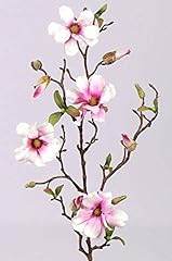 Artplants deko magnolienzweig gebraucht kaufen  Wird an jeden Ort in Deutschland