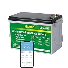 Mjbsan batteria lifepo4 usato  Spedito ovunque in Italia 