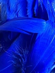 Royal blue feathers for sale  Delivered anywhere in UK